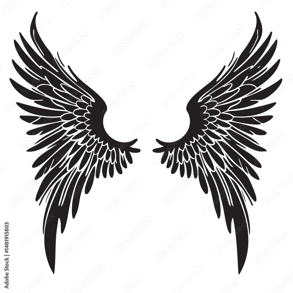 Obraz premium eagle with wings