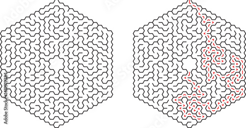 Intricate hexagon maze puzzle with black lines and highlighted solution paths