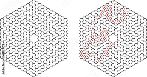 Hexagonal labyrinth puzzle concept featuring an intricate maze and solved path indication