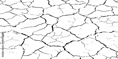 Closeup of dry fissure ground. White dried and cracked ground earth background.Gray crack on earth texture. erosion.	