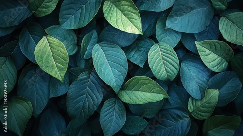 Wallpaper Mural Vibrant green and blue leaves with intricate patterns and textures Torontodigital.ca