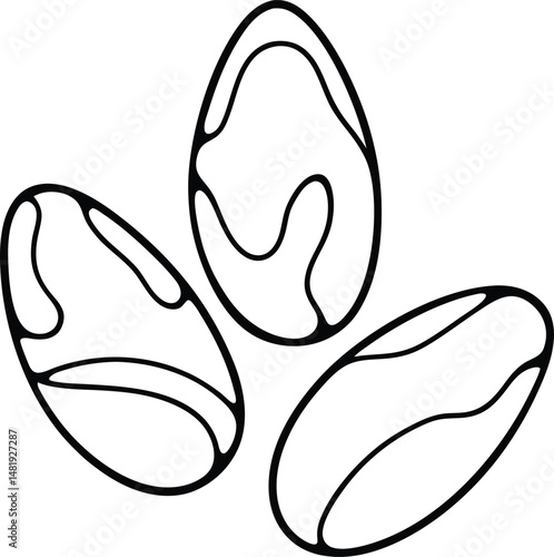 Brazil nuts icon vector illustration