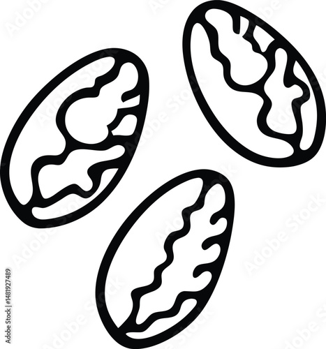 Brazil nuts icon vector illustration