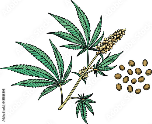 hemp plant illustration. Cannabis seeds Products Icon