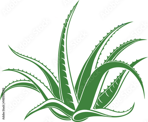 Aloe vera vector icon