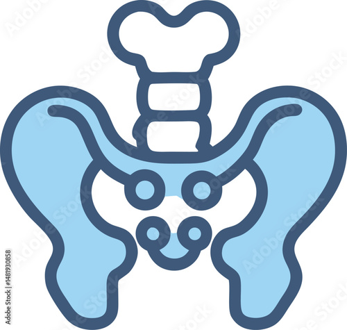 pelvis icon