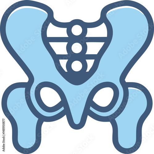 pelvis icon