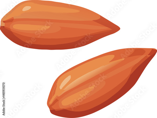 Pili nut icon. pili nut vector icon for web design isolated on white background