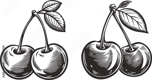 Cherries with Leaves Vintage Illustration