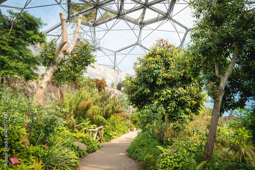 View from inside the Mediterranean biome at the Eden Project in Cornwall, UK