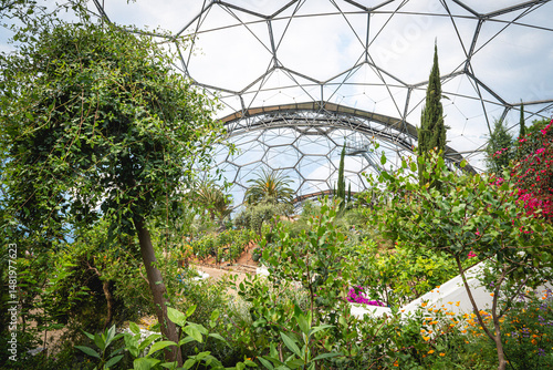 View from inside the Mediterranean biome at the Eden Project in Cornwall, UK