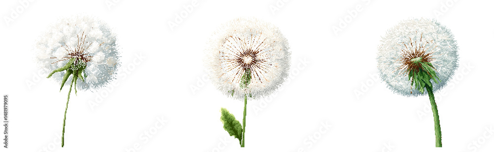 Fototapeta premium Pixel art of a dandelion puff ball, delicate white seeds and thin green stem, isolated on transparant background