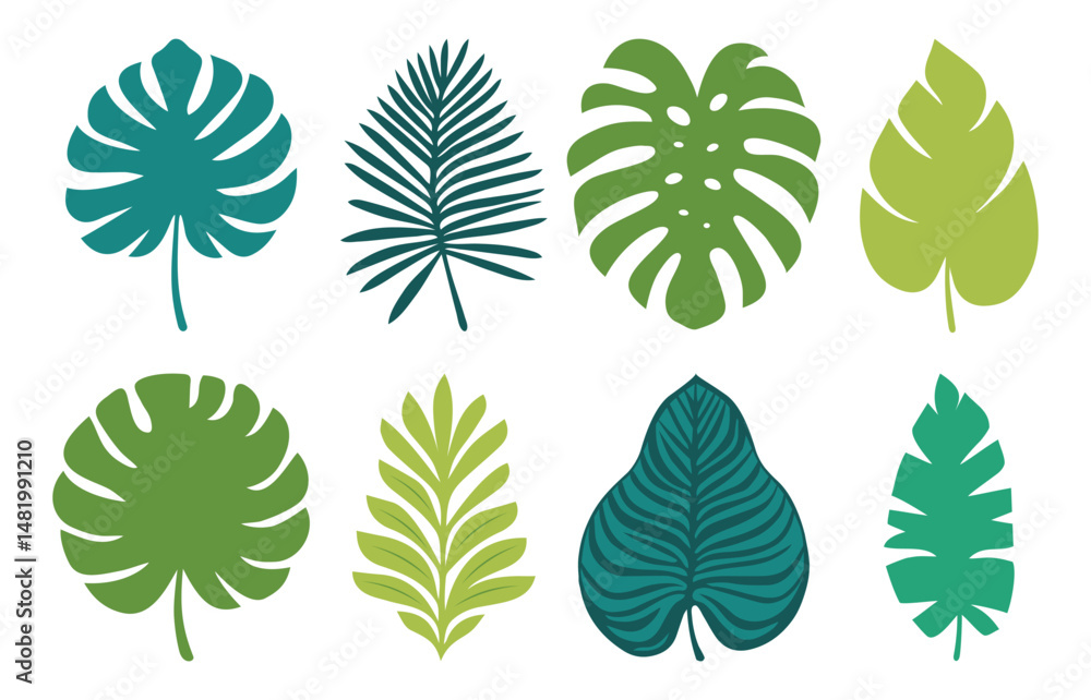 Set of exotic leaves. Vector silhouettes of monstera, tropical leaves. Simple, minimalist style. For summer design, eco-friendly branding. Tropical plants in simple flat design. Palm, fern leaves set Set of exotic leaves. Vector silhouettes of monstera, tropical leaves. Simple, minimalist style. For summer design, eco-friendly branding. Tropical plants in simple flat design. Palm, fern leaves set