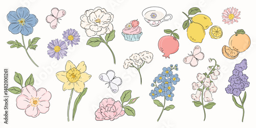 Cute flower and summer element vector set. Hand drawn of floral, pomegranate, lemon, butterfly, tea, cupcake with sketch line. Design for card, banner, cover, sticker, print, packaging.