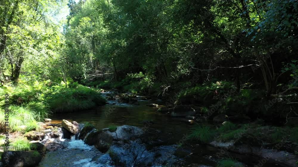 Mountain clear stream in the forest; natural landscape on a sunny summer day. Drone movement along the creek. Mountain clear stream in the forest; natural landscape on a sunny summer day. Drone movement along the creek.