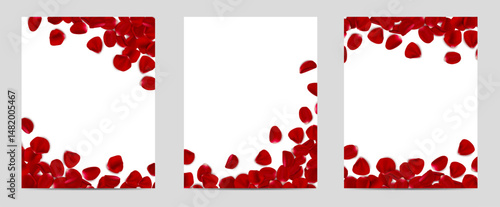 3d realistic vector illustration. Red rose falling petals frame border on white background. Beauty and cosmetic background presentation.