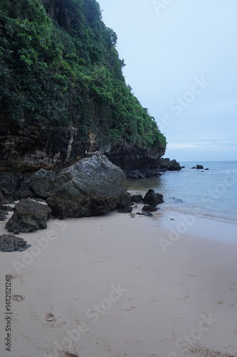 coral reef in the shore at sunny day