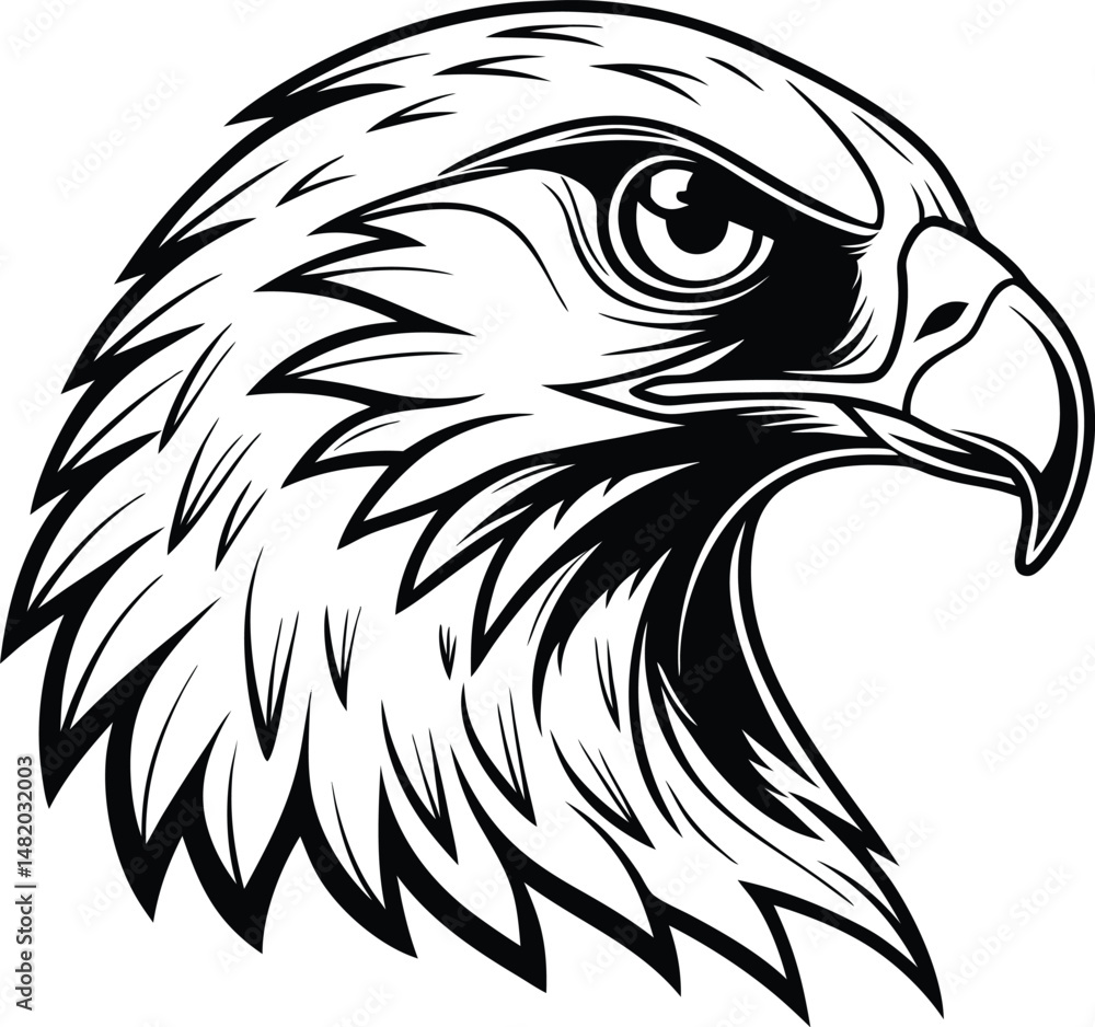 Obraz premium eagle head isolated on white