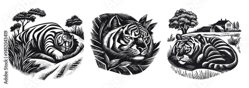 Black and White Vector Illustration of Tigers in Natural Settings