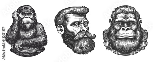 Detailed Vector Illustration of Monkeys and Bearded Man Portraits