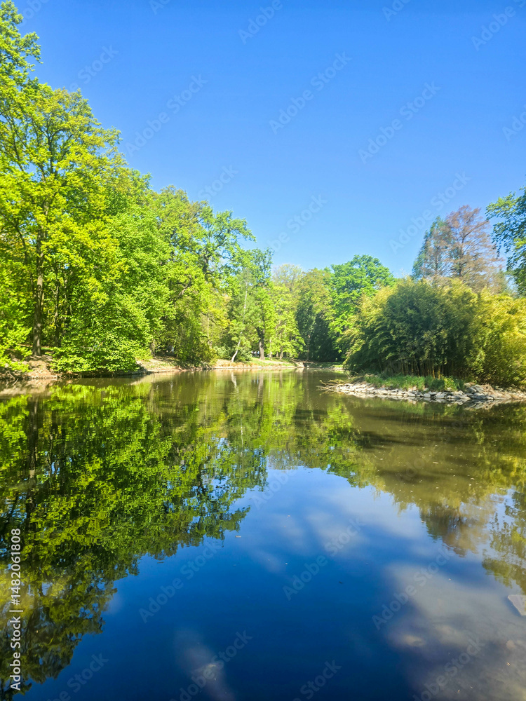 Fototapeta premium River View Flowing Through a Spring Park