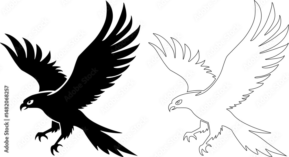 Obraz premium Eagle silhouette , liner in flight,