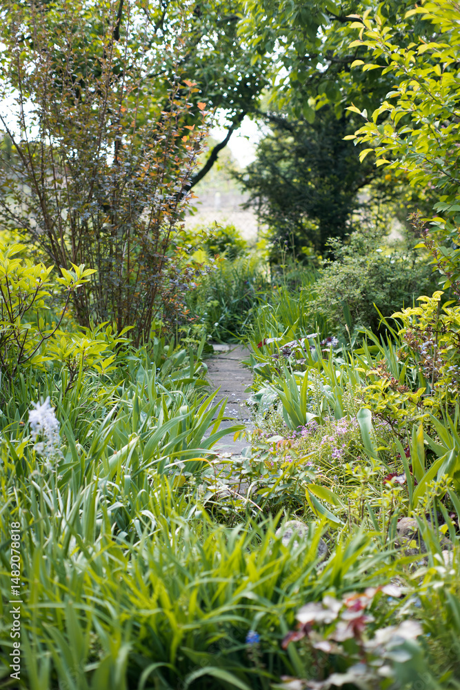 Flower bed in the shade of fruit trees, gardening.