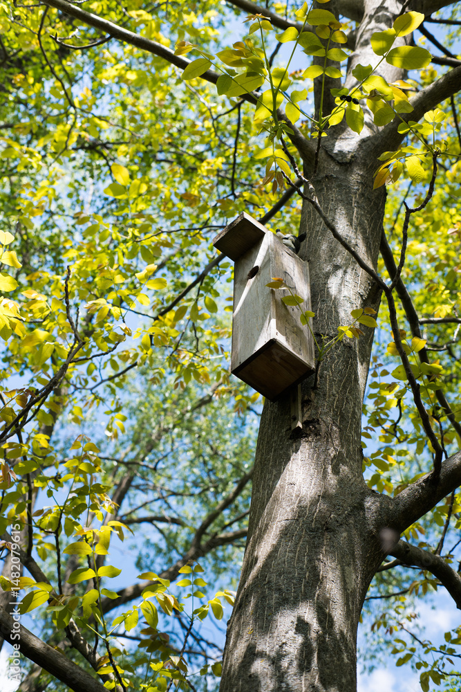 A nesting box for birds, hung on a tree.