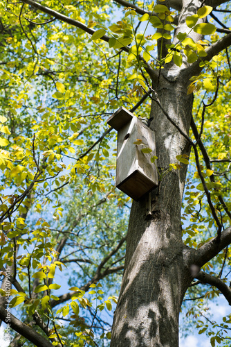 Obraz na płótnie A nesting box for birds, hung on a tree.
w salonie