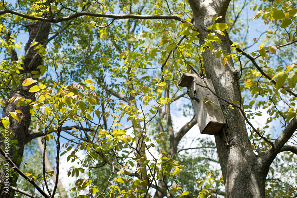 A nesting box for birds, hung on a tree.