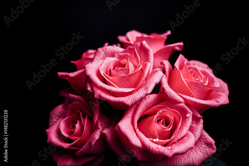 Wallpaper Mural Close-up of Rosy Petals, Delicate Beauty Torontodigital.ca
