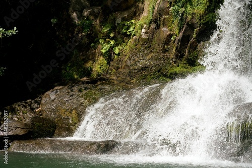Waiau Falls cascading in summer – scenic New Zealand waterfall view
