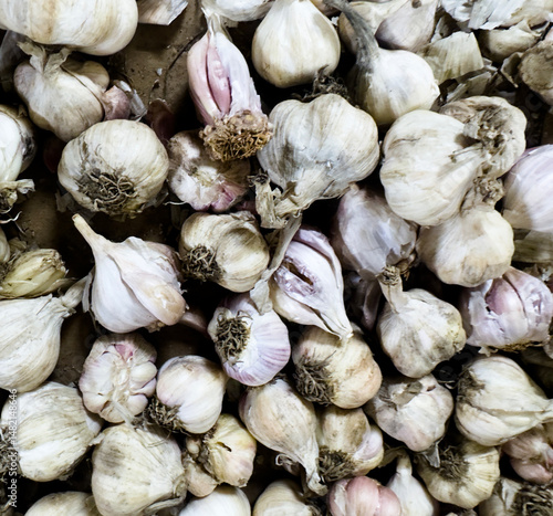 Pile of Fresh Garlic Cloves Ready for Use