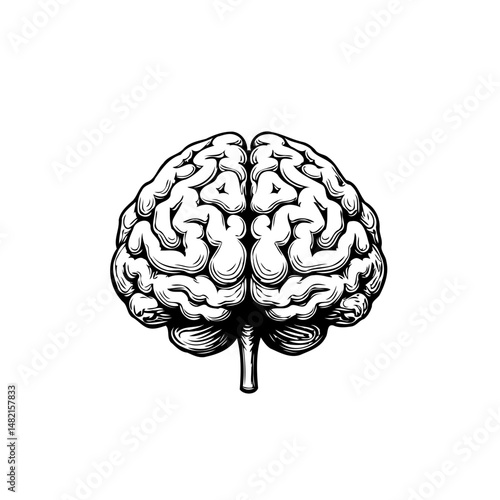 Neurological graphic representation offering stylized anatomical visualization