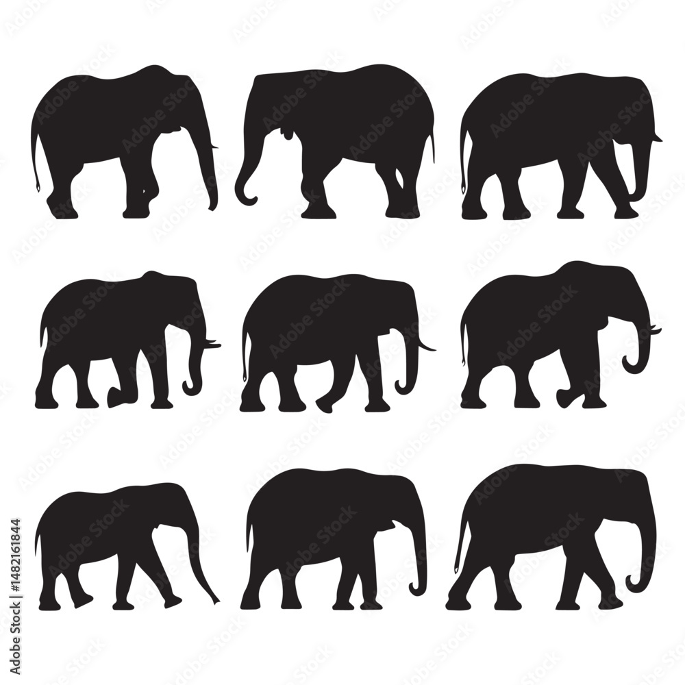Fototapeta premium Vector silhouette set of elephant on white background 