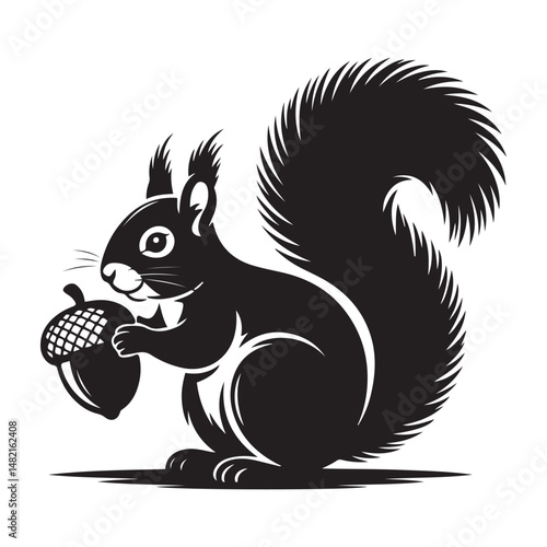 squirrel with bushy tail holding a nut Vector black silhouette. with white background