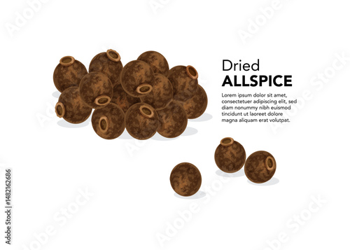 Tableau sur toile Dried allspice seeds on a white background