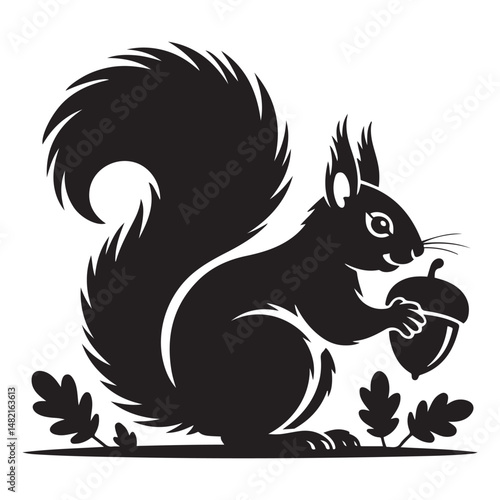 squirrel with bushy tail holding a nut Vector black silhouette. with white background