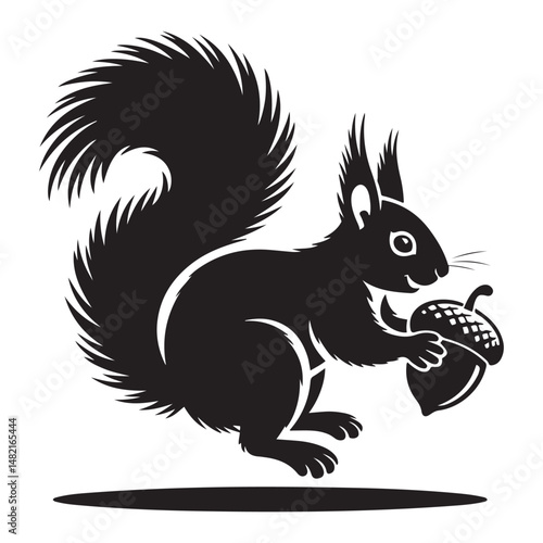 squirrel with bushy tail holding a nut Vector black silhouette. with white background