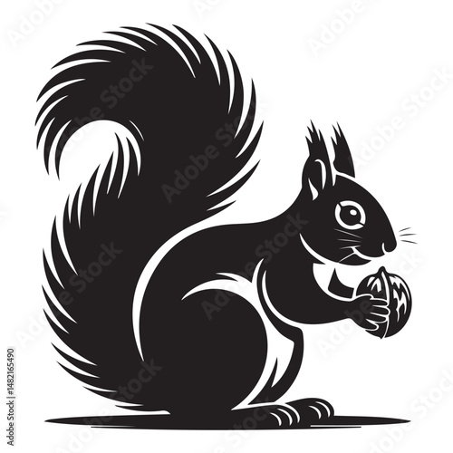 squirrel with bushy tail holding a nut Vector black silhouette. with white background