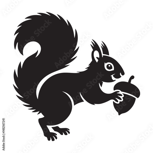 squirrel with bushy tail holding a nut Vector black silhouette. with white background