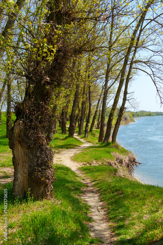 The forest and paths create a stunning natural scene, with beautiful spring landscapes featuring green grass and trees
