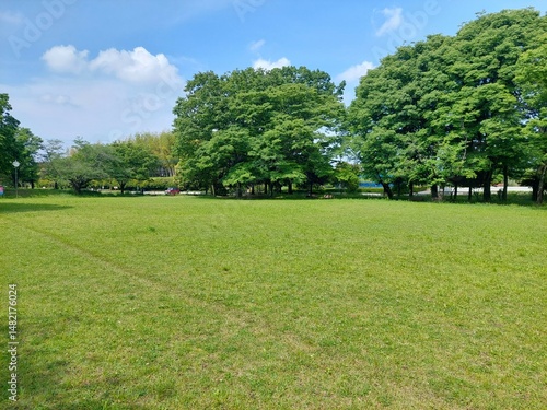 新緑の季節の芝生広場