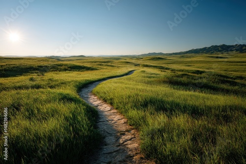 Serene landscape with a winding path under a clear blue sky.