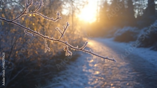 Glittering frost-covered branches arching over a quiet winter trail, Generative AI