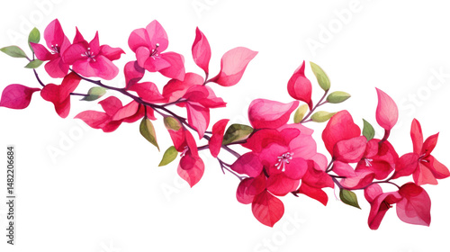 Watercolor Branch with Bright Pink Camellia Flowers and Leaves — Botanical Clipart on Transparent Background

