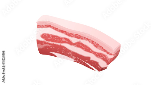 raw meat_porkbelly