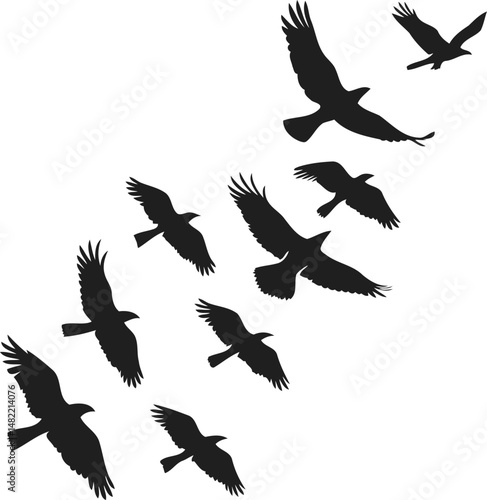 Birds silhouette bundle vector set, flying and perched birds black clipart, nature and wildlife design elements