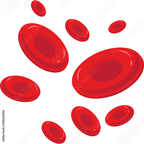  Red Blood Cells
