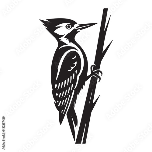 striking vector illustration of a stylized woodpecker, Vector black silhouette. with white background